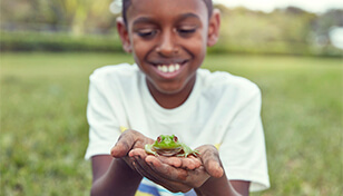 Image Alt Text